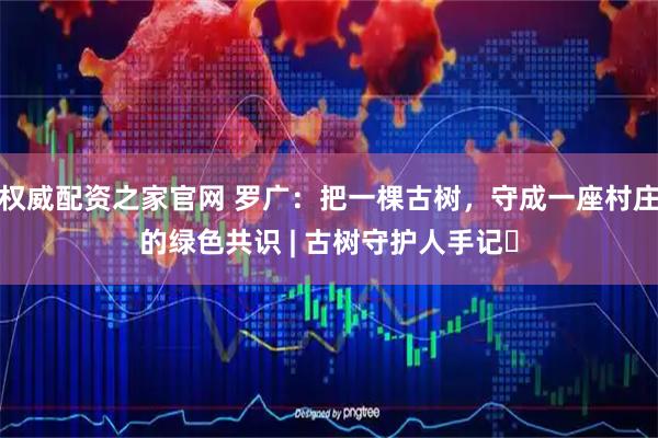 权威配资之家官网 罗广：把一棵古树，守成一座村庄的绿色共识 | 古树守护人手记㉑